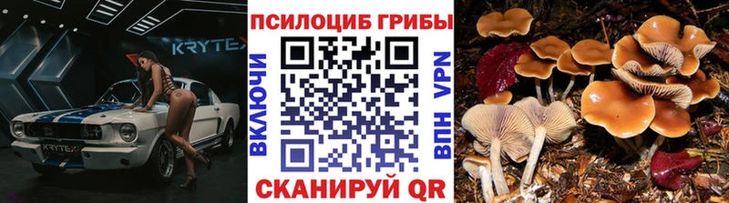Галлюциногенные грибы мухоморы  Суоярви 